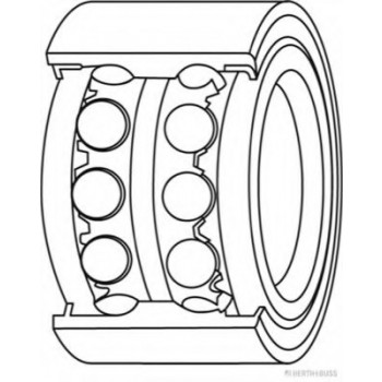 Double row wheel hub bearings 